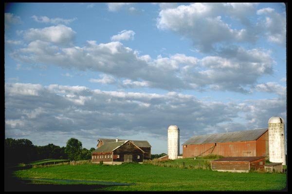 097088 Large Red And Brown Barns A4 Photo Print