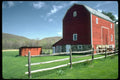 097091 Tall Red New Jersey Barn A4 Photo Print