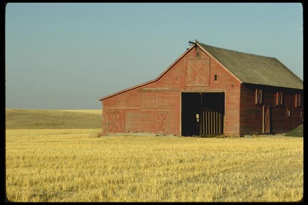 097093 Open Red Barn In Wheat Country A4 Photo Print