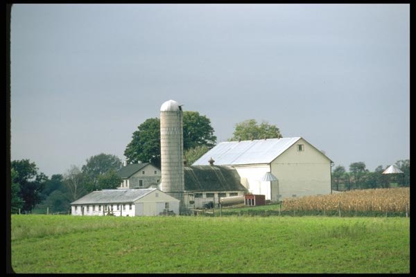 097095 Pennsylvania Farm With Cornfield A4 Photo Print