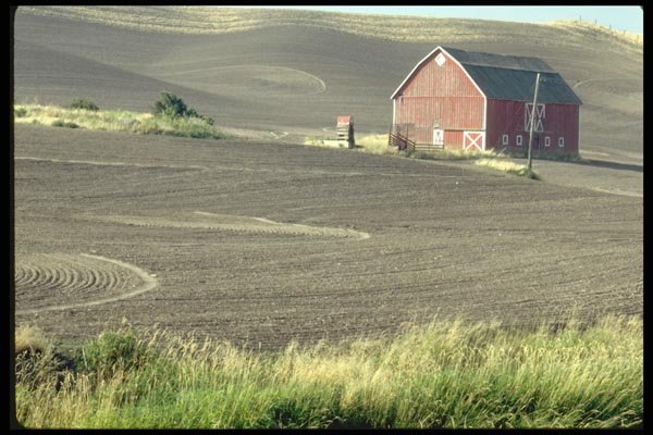 097099 Red Barn In Furrowed Hills A4 Photo Print