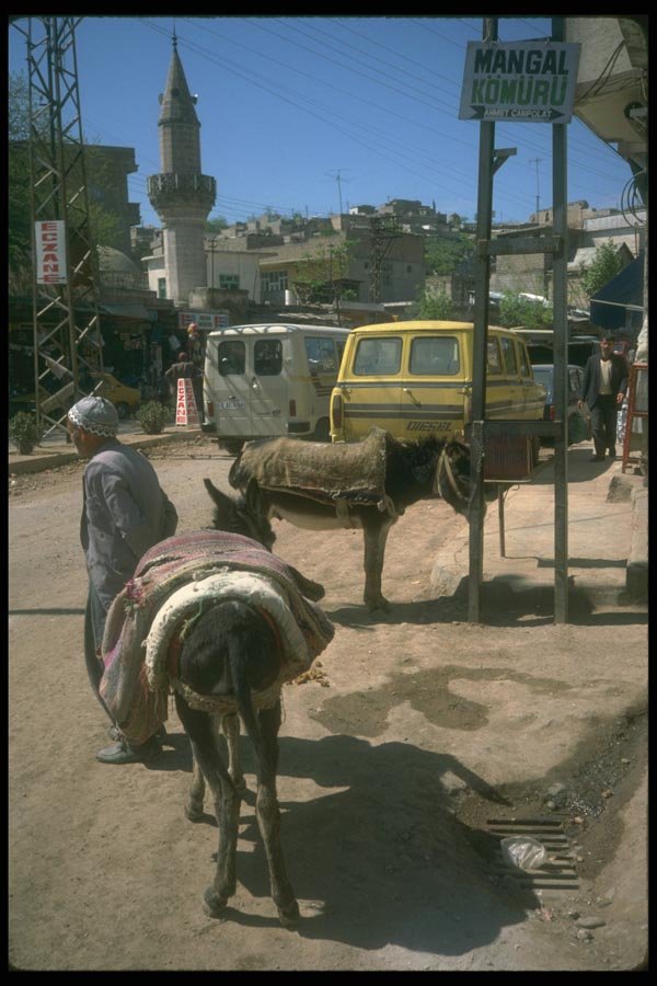 098003 Use Of Donkeys As In Ancient Times, Urfa, Turkey A4 Photo Print