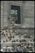 098031 Window Of Old Ottoman Mosque, Istanbul, Turkey A4 Photo Print