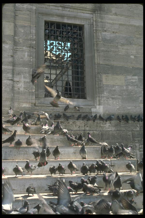 098031 Window Of Old Ottoman Mosque, Istanbul, Turkey A4 Photo Print