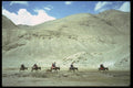 098088 Tajiks In Donkey Caravan, Xinjiang, China A4 Photo Print