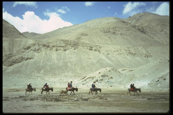 098088 Tajiks In Donkey Caravan, Xinjiang, China A4 Photo Print
