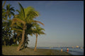 101004 People On Beach With Palm Trees Viti Levu Island A4 Photo Print