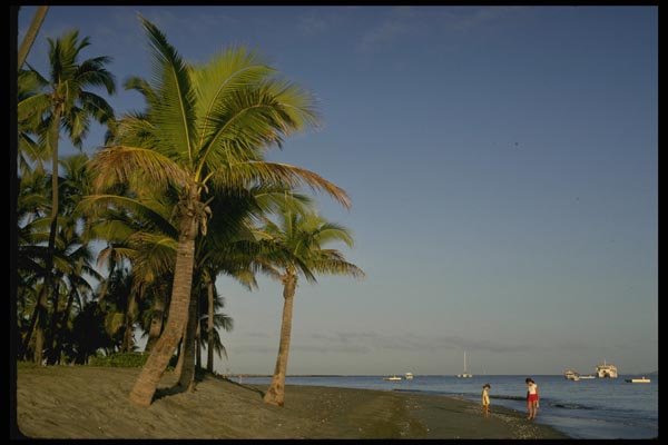 101004 People On Beach With Palm Trees Viti Levu Island A4 Photo Print