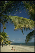 101005 Beach And Palm Trees Viti Levu Island A4 Photo Print