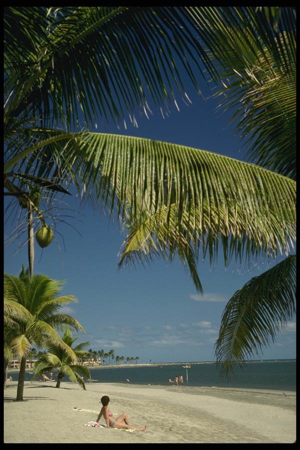 101005 Beach And Palm Trees Viti Levu Island A4 Photo Print