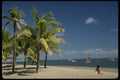 101007 People, Beach And Palm Trees Viti Levu Island A4 Photo Print