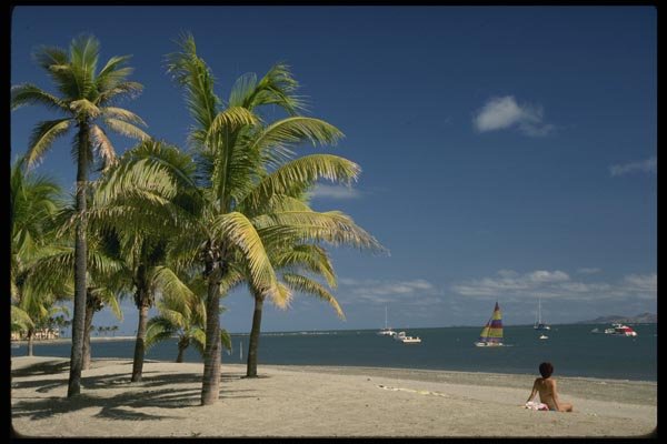 101007 People, Beach And Palm Trees Viti Levu Island A4 Photo Print