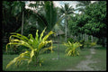 101018 Qamea Beach Club Qamea Island A4 Photo Print