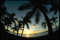 101037 Sunset, Palms And Beach Viti Levu Islands A4 Photo Print