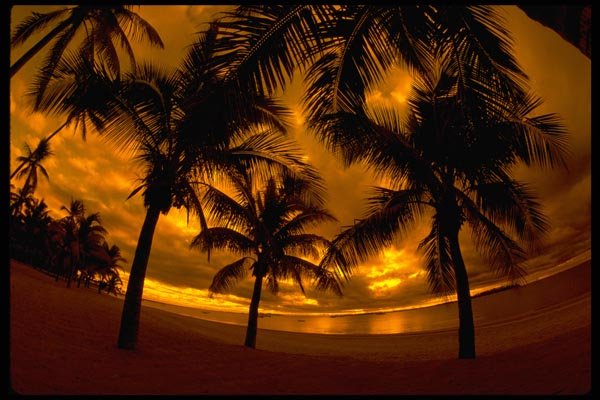 101038 Orange Sunset Viti Levu Island A4 Photo Print