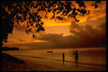 101050 Spearfishing At Sunset Taveuni Island A4 Photo Print