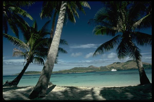 101052 Palm Trees On Tawewa Island Yasawa Island Group A4 Photo Print