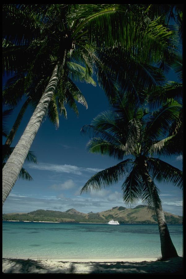 101055 Palm Trees On Tawewa Island Yasawa Island Group A4 Photo Print
