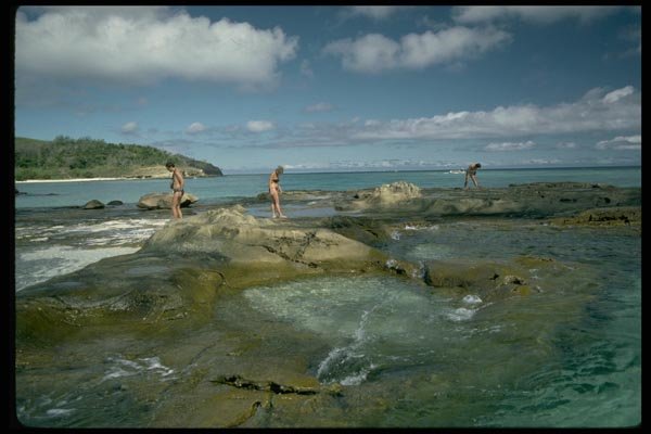 101069 Shell Collecting Drawaga Island, Yasawa Island Group A4 Photo Print
