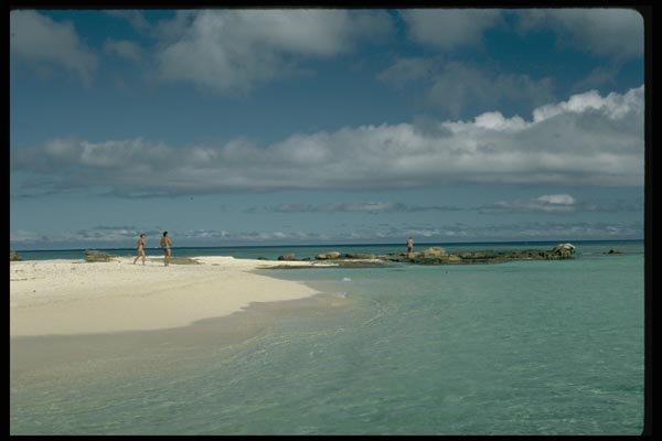 101070 Beach Combing Drawaga Island, Yasawa Island Group A4 Photo Print