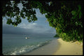 101080 Beach Taveuni Island A4 Photo Print