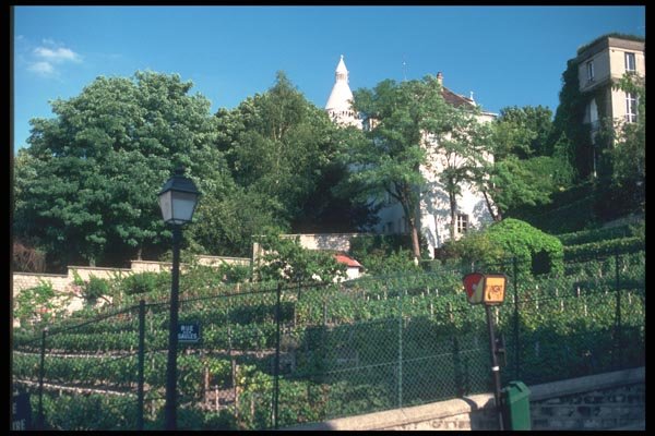 102004 The Vineyard In Montmartre A4 Photo Print