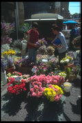 102030 Flower Seller, Lannion A4 Photo Print