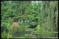 102047 Giverny, The Water Garden A4 Photo Print