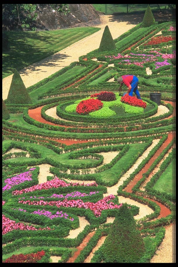102057 Sunken Garden, Angers A4 Photo Print