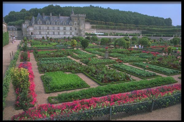 102059 Villandry, Chateau And Gardens A4 Photo Print