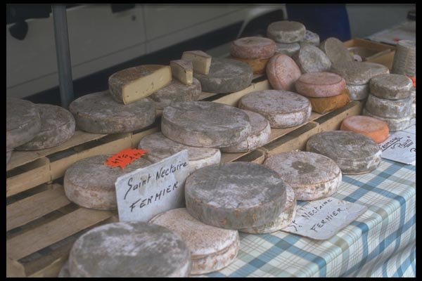 102067 Cheeses, Auvergne A4 Photo Print