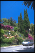 102090 Near Le Lavendou A4 Photo Print