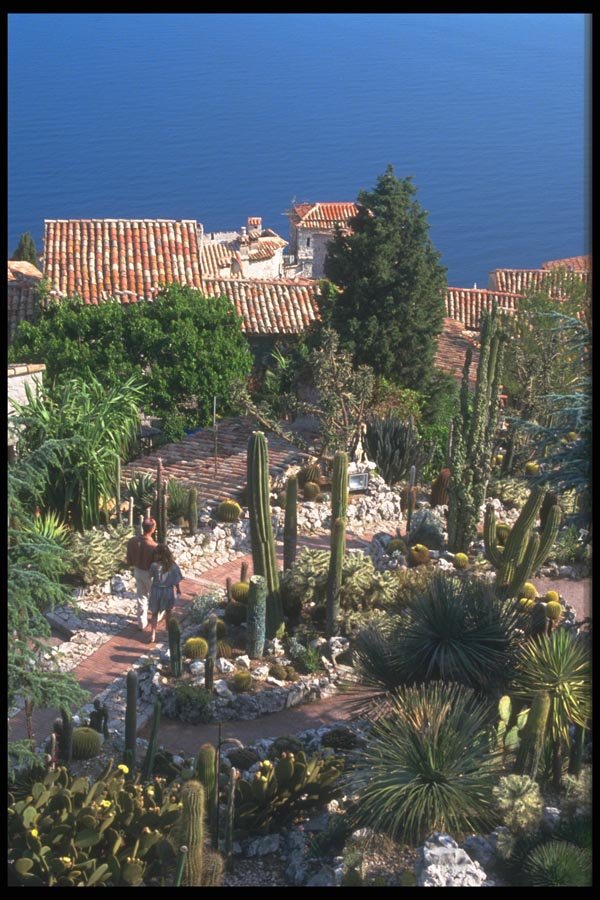 102097 Eze Village, The Jardin Exotique A4 Photo Print