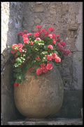102099 Picturesque Corner A4 Photo Print