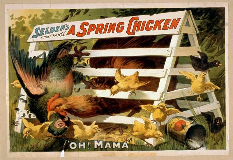 1037u Vintage Advert A4 Photo Print