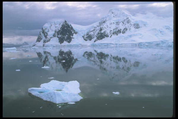 106066 Paradise Bay, Antarctica A4 Photo Print