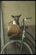 111045 Bicycle And Puppy, Venice A4 Photo Print