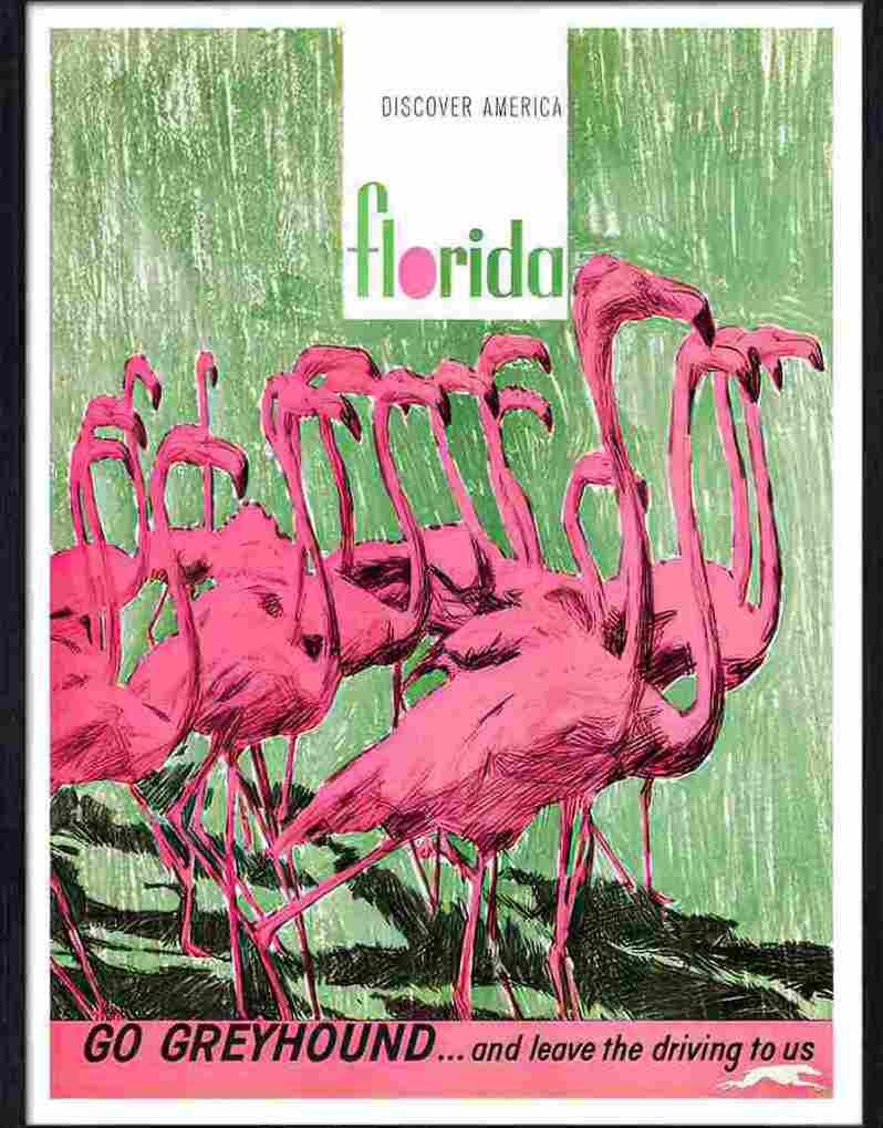 113 03 florida travel poster pink flamingos Advert A4 Photo Print