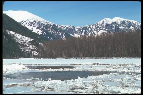 114000 Skeena River Northwest Coast Of British Columbia A4 Photo Print
