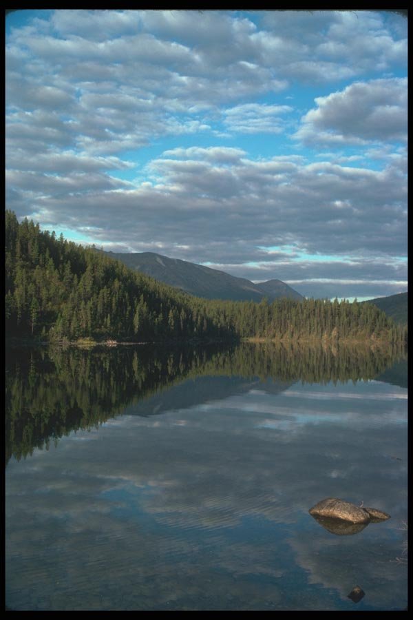 114040 Wilderness Lake A4 Photo Print