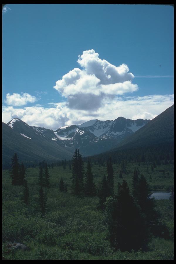 114042 Pristine Wilderness A4 Photo Print