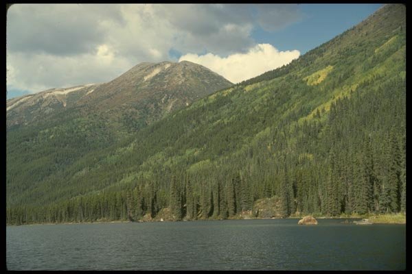 114061 Wilderness Lake A4 Photo Print
