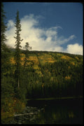 114065 Wilderness Lake Shore A4 Photo Print