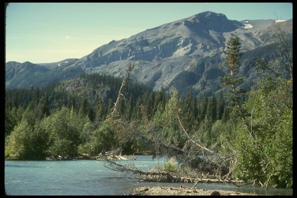 114078 Wilderness River A4 Photo Print