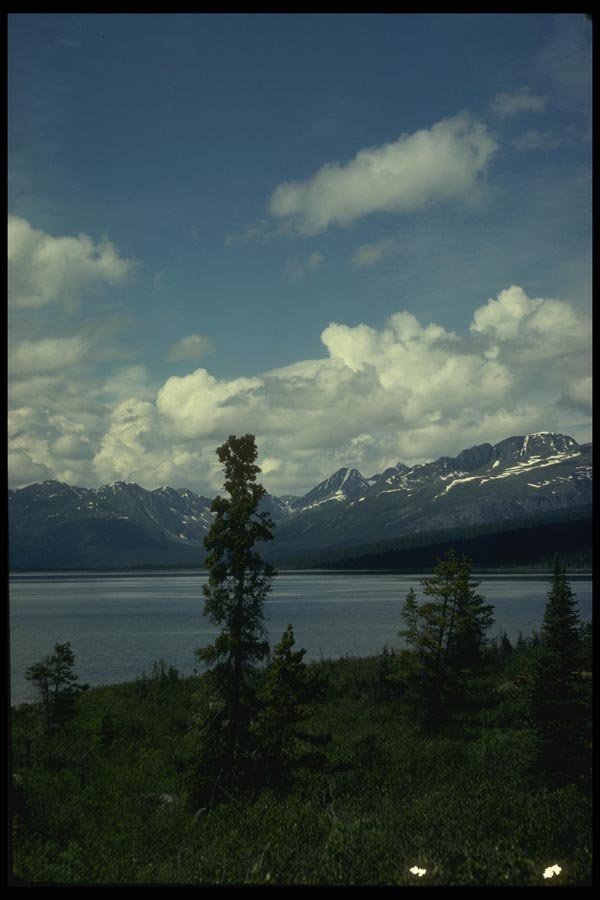 114079 Pristine Wilderness A4 Photo Print