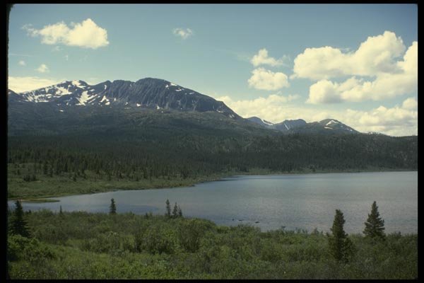 114080 Mountainscape Deep Wilderness Mixed Game Hunting Country A4 Photo Print