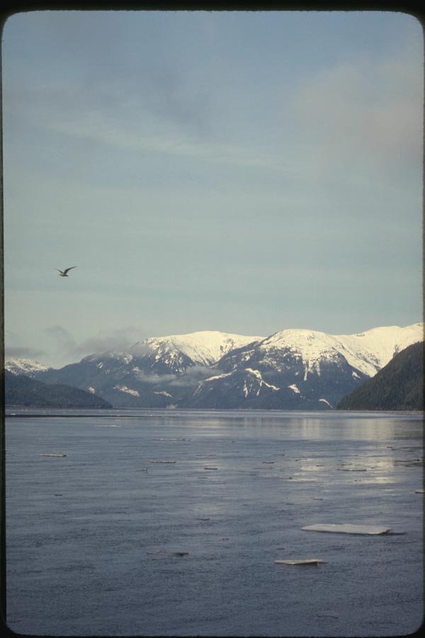 114087 Skeena River North Coastal British Columbia A4 Photo Print