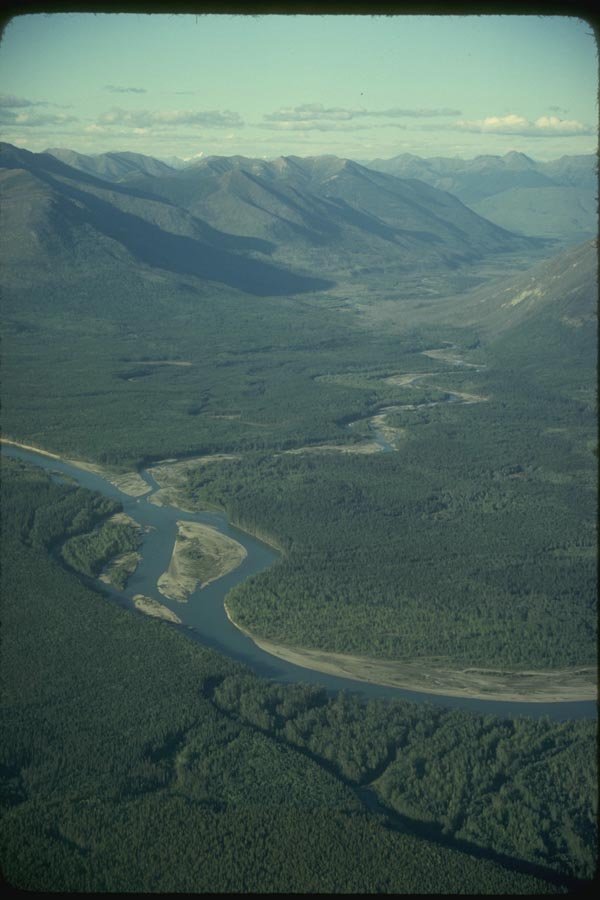 114095 Stikine River Northern British Columbia Deep Wilderness A4 Photo Print