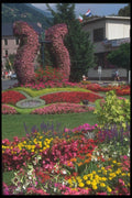 116050 Flower Harp In Central Park, Haute Savoie A4 Photo Print