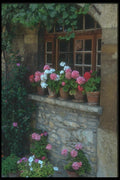 116068 Windows In Perouges A4 Photo Print